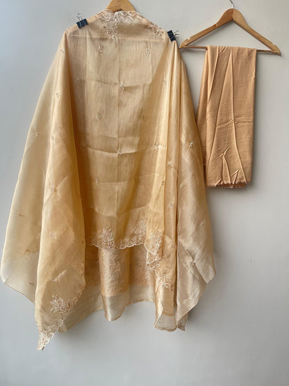 Shimmer tissue unstitched ladies suit Rc19340 (b)